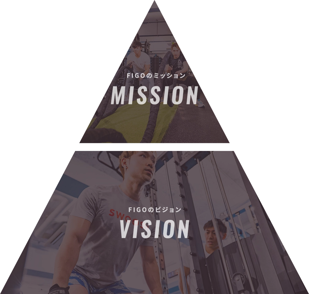 MISSION VALUE